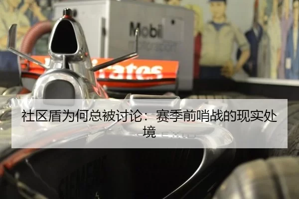 社区盾为何总被讨论：赛季前哨战的现实处境（leyu）
