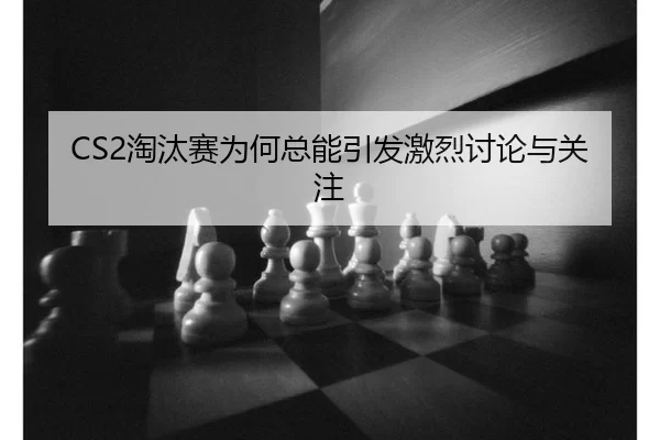 tao-tai-sai-wei-he-zong-neng-yin-fa-ji-lie-tao-lun-yu-guan-zhu-2-279.jpg